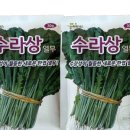 풍년농약사 - 예산군 삽교로 69 | 풍년농약사