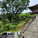 공유숲 | 의왕청계사후기 안양미리내공유학교 숲체험 후기