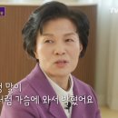 토스트하루