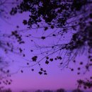 나도파랑 이미지