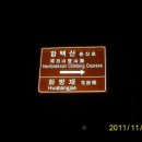 구룡산민박 티스토리