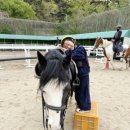 승마펜션 | 학생승마지원사업 [ 호스피아 승마체험 ! ] 후기 ❗️