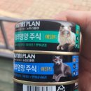 야옹아 멍멍해봐(에코시티점) 이미지