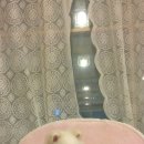 몽블리 애견카페 이미지