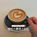 스톤래빗 이미지