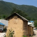 대사로(길안면) 이미지