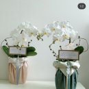 라파지블 | CHY Wedding (W-127) :: 상견례 / 신사 하모 한정식 - 여름제철반상 / 라파지블 상견례난 선물