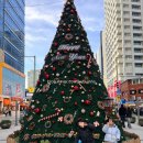 해운대전통시장 | [짜니네여행]부산여행 해운대여행 해운대전통시장 시장구경후 부산곰장어 먹은 후기