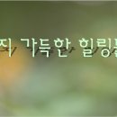 (수정) 왕볼 Vs. 퀀텀에너지 미니볼 이미지