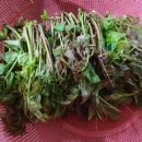 참솔에너지 이미지