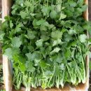 고수1로 이미지