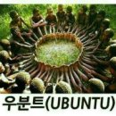 "우분트 (UBUNTU)" 라는 말을 아시나요? 이미지
