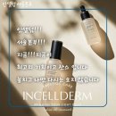 인셀덤 수 대리점