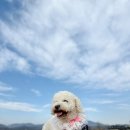 읍성 주차장 화장실 이미지