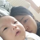 아그얼라 이미지