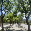 대만 가오슝 왔는데 날씨너무너무 좋은데 너무 더워요 이미지