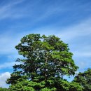 제주항공우주호텔 이미지