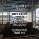 대원농장 | 대원바이오 TMF 시험농장 방문기