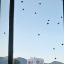 성류파크호텔 이미지