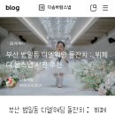 다솜이벤트 | [돌잔치 준비] 부산 돌스냅 다솜바람스냅 예약 후기 ㅣ 뷔페디 (구.클레이디)