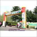 기계중학교기북분교장 | 기북 산나물축제와 주말 농장