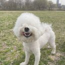 연은동물병원 이미지