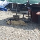 전라도거시기 이미지