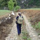 동강1박2일민박 이미지