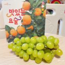 채채북스