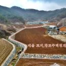 조은벽돌