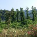 화현생태공원 이미지