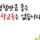 둔전하연과학