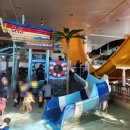 강남스파랜드 | 볼만한 워터파크 5곳 완벽 정리 (소노벨천안·스플라스리솜·파라다이스스파도고·오션월드·프로방스율암)