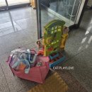 장난감대여점1호점 | [순간, 오늘] 집순이 둘째 임산부의 외출 Day