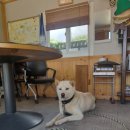 숙이네민박 이미지