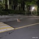 경성치킨 공덕점 이미지