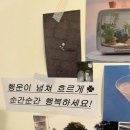 해브스 | 순간 순간 행복하세요