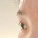고려대역 4번출구 | [고려대속눈썹펌] 속눈썹펌 잘하는 “오달지다” 바짝 올라간 속눈썹펌 후기