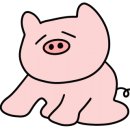 김해노난뒷고기