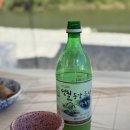와룡천 캠핑장 이미지