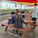 푸르메농장 이미지