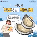 겨울철 굴, 안전하게 먹는 법 이미지