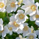 면허시험장 이미지