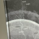 삼보리게임 | 사실로 엉킨 실로