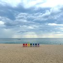 바다정원 이미지