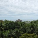 ALL DAY SAND | 나트랑 리조트 아나만다라 깜란 태교여행 후기 (조식, 수영장, 디너, 셔틀버스)