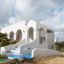 오멍가멍 애견카페&호텔 이미지