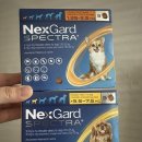 큰솔약국 이미지