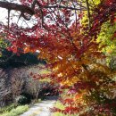 통나무펜션 이미지