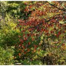 미륵리 마을회관 이미지